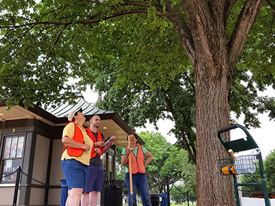Neal, Denig and Bassuk assess the health of one of the iconic elms ringing the National Mall.  (Photo: Yoshiki Harada)