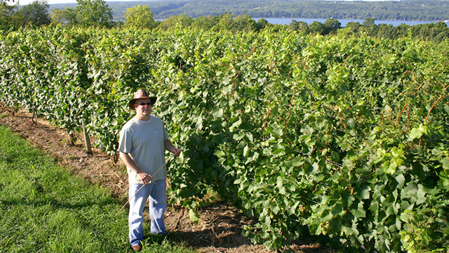 James Meyers is the new viticulture and wine specialist covering the 17-county Cornell Cooperative Extension Eastern New York Commercial Horticulture Program area.