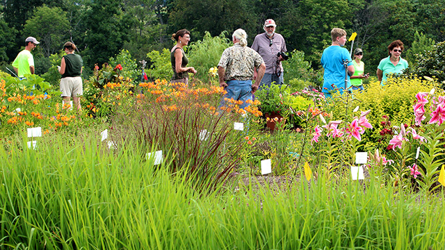 Collaborative open house visitors tour annual and perennial plantings at Bluegrass Lane. (Photo: Anja Timm)