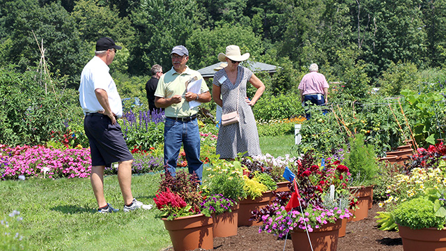 Growers check out container plantings at Bluegrass Laned