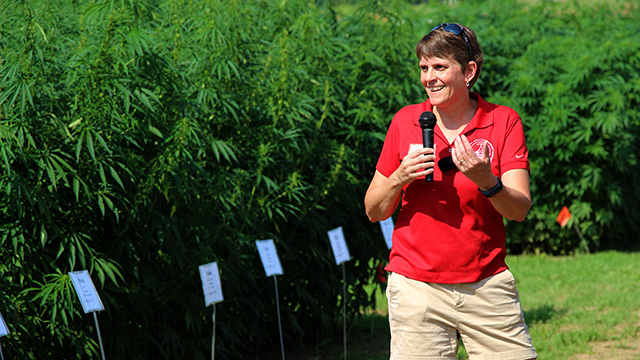 Chris Smart, director of the School of Integrative Plant Science, shares Cornell's plans for industrial hemp research and outreach.