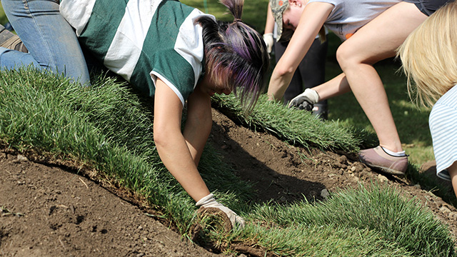 Art of Horticulture students install sod over the base.
