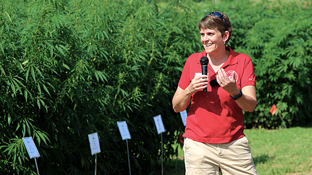 Smart welcomes attendees at Cornell industrial hemp field day, August 2017.