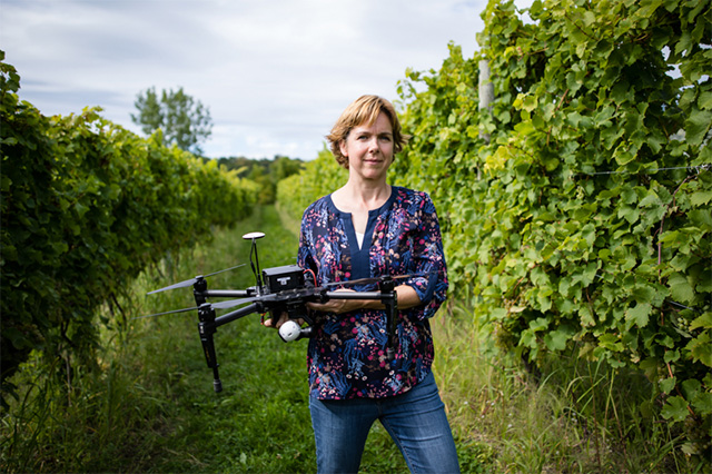 Drones collect detailed measurements of grape growing operations. Justine Vanden Heuvel, associate professor in the Horticulture Section, is providing New York growers with the tools to understand and make use of the rich data. Photo by Chris Kitchen.