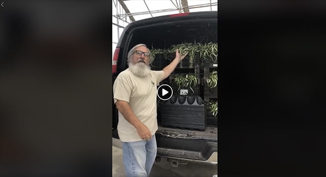Lloyd Travern with van full of plants headed for Cornell 'Plant Drop'