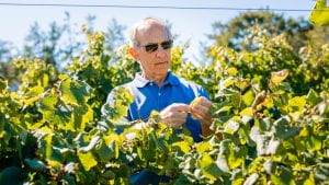 bruce reisch with grapevines on a sunny day