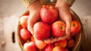 apples in hands
