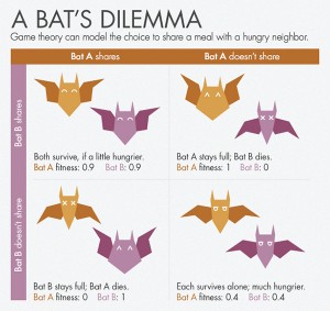 Bat's Dilemma of Sharing