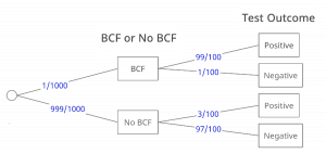 BCF Experiment