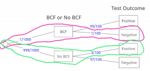 BCF Experiment PT 2