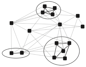 nodes of hyraxes social network