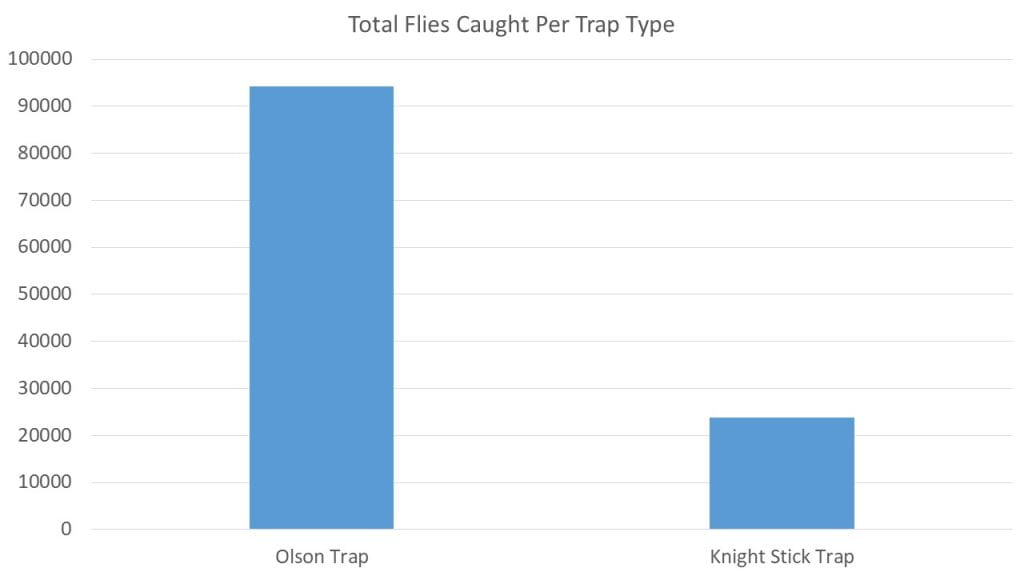 Total Amount of Stable Flies Caught Per Trap