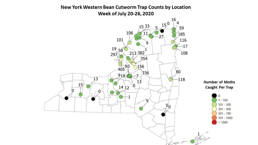 This is a map of the number of moths caught in each trap by location in New York State