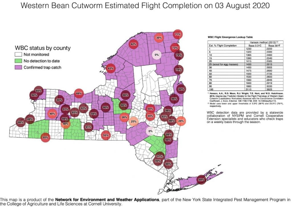 This is a new your state map of the estimate of the completion of flight by western bean cutworm