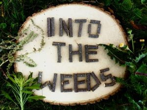 This is the logo for a pod cast called Into the Weeds. 