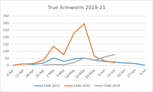 This is a graph of the True armyworm flights from 2019-2021