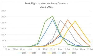 This is a graph of the average number of moths caught in pheromone traps by week. Peak flight was the last week in July