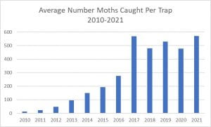 This is a graph showing the average moths caught in traps across NYS from 2010 to 2021