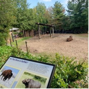 Looking at DC: The National Zoo – CIW REPORTS