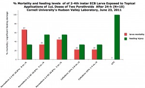 Efficacy of pyrethroids on ECB
