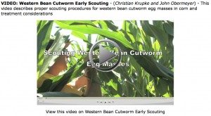 Western Bean Cutworm: Early Scouting Video (Purdue Cooperative Extension Service)