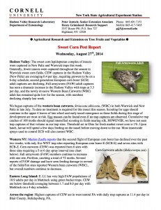 Full Version: Sweet Corn Pest Report, August 27th