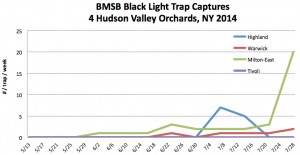 Hudson Valley BMSB Black Light Trapping: 08.01.14