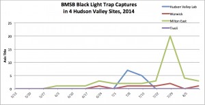 BMSB Black Light Traps 8.15.14
