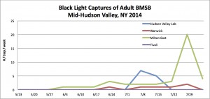 BMSB Hudson Valley Black Light Trap Network 8.04.14