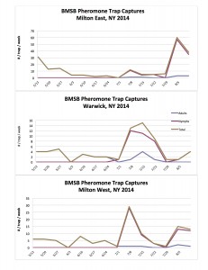 BMSB Pheromone Trap Data 8.15.14