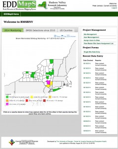 BMSB Mapping in NY 2014 using EDDMapS.