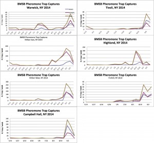 Sept. 15: Monitoring of 7 Hudson Valley Orchards for BMSB Using Pheromone Baited Tedders Trap Graphs 
