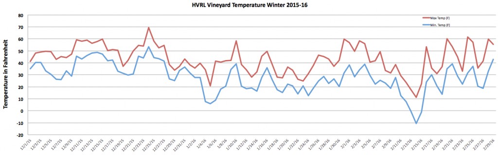 Fahrenheit HVRL Winter 2015-16