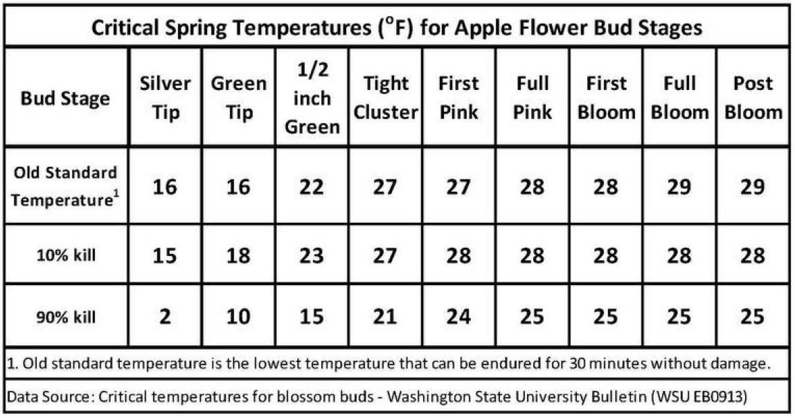 Critical Spring Temps for Apple