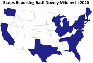 2020 basil downy mildew map showing states reporting the disease