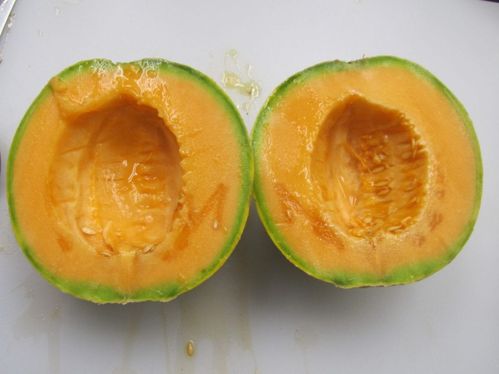 Cut open fruit of Trifecta cantaloupe