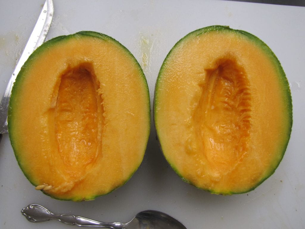 Cut open fruit of Edisto 47 cantaloupe