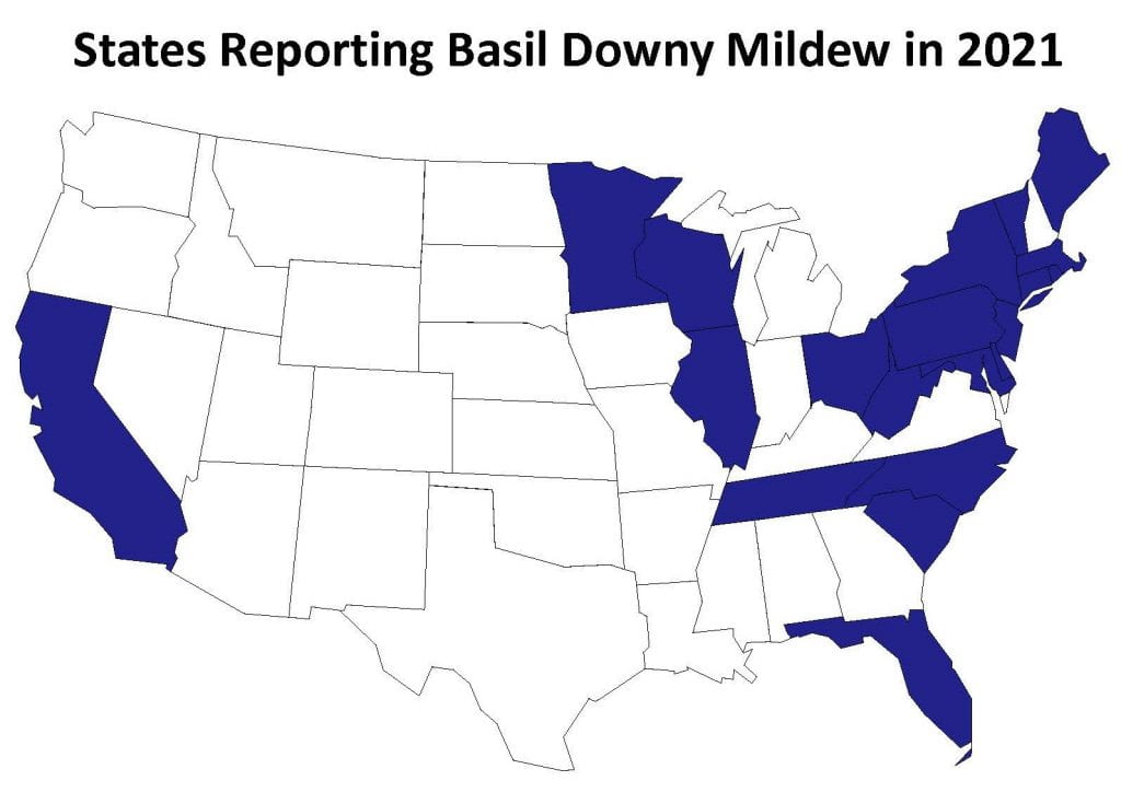 USA map illustrating states in which Basil DM was reported in 2021.