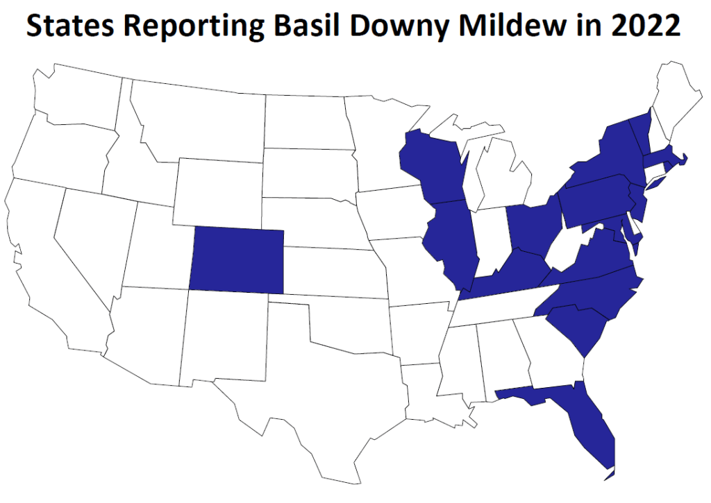 USA map illustrating states in which Basil DM was reported in 2021.