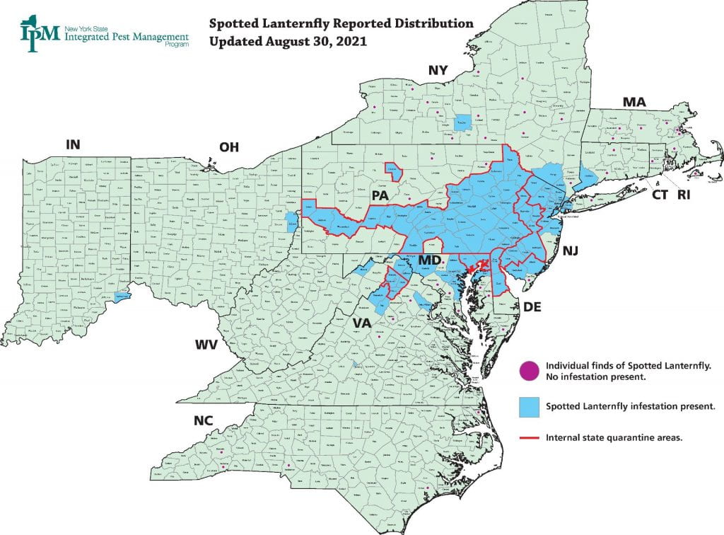 Spotted Lanternfly Distribution as of August 30, 2021