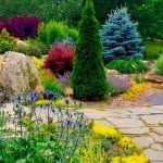 A stone path running through the APline Gardne full of color and texture