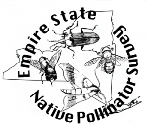 Logo - The outline of New York State under a picture of a moth, a beetle, a moth and a fly with the words Empire State Native Pollinator Survey