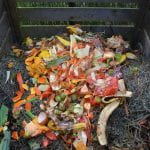 Pile of kitchen scraps, mostly peels of various fruits and vegetables, spead out on top of a compost pile