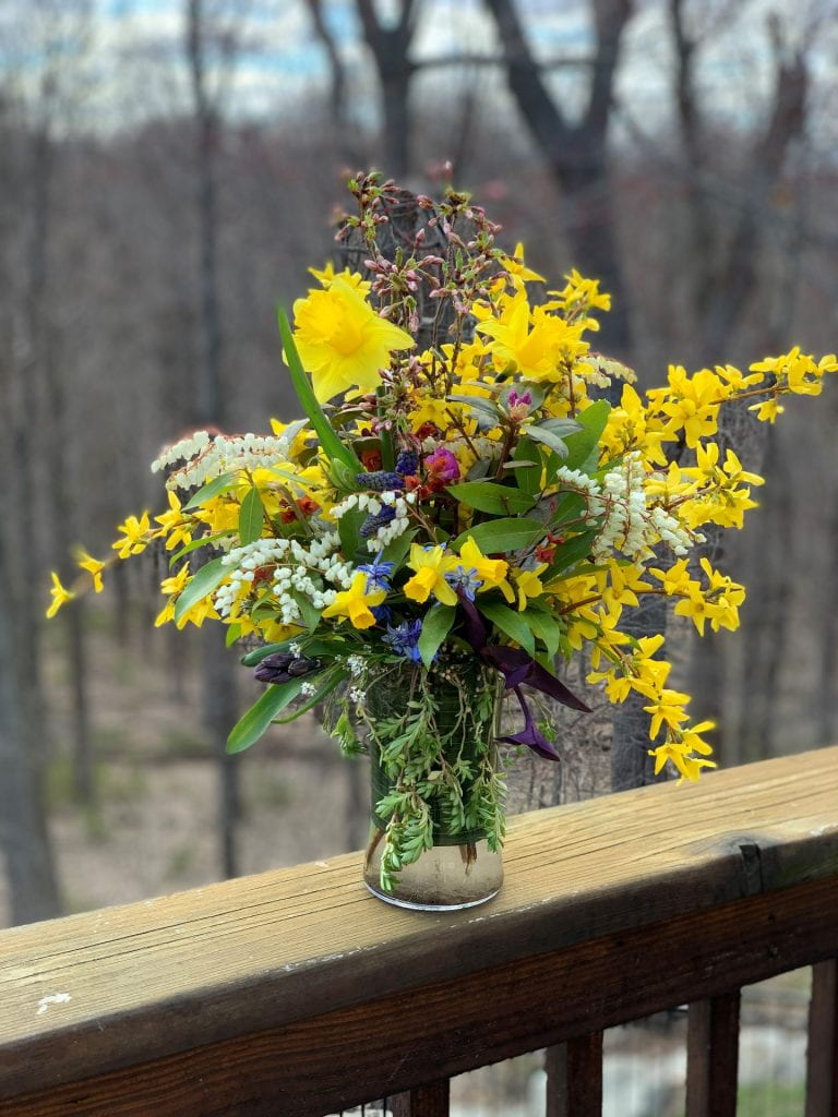 Spring bouquet of bright yellow daffodils and forsythia, purple grape hyacunth, white andromeda, and buds of a pink cherry tree