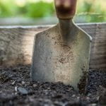 A garden trowel stuck in the the soil of a raised garden bed