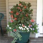 Large green pot with a plant with pink flowere, a short plant with white flowers and a varigated plant spilling over the side