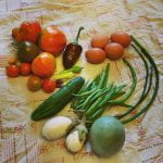 Assortment of heirloom vegetables on a blanket - tomatoes of various sizes, sizes colors and shapes, hote egg plants, a cucumber, a purple pepper, a pile of green beans, a few foot long beans