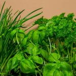 Bright Green Herb Plants - Chives, Basil, Parsley