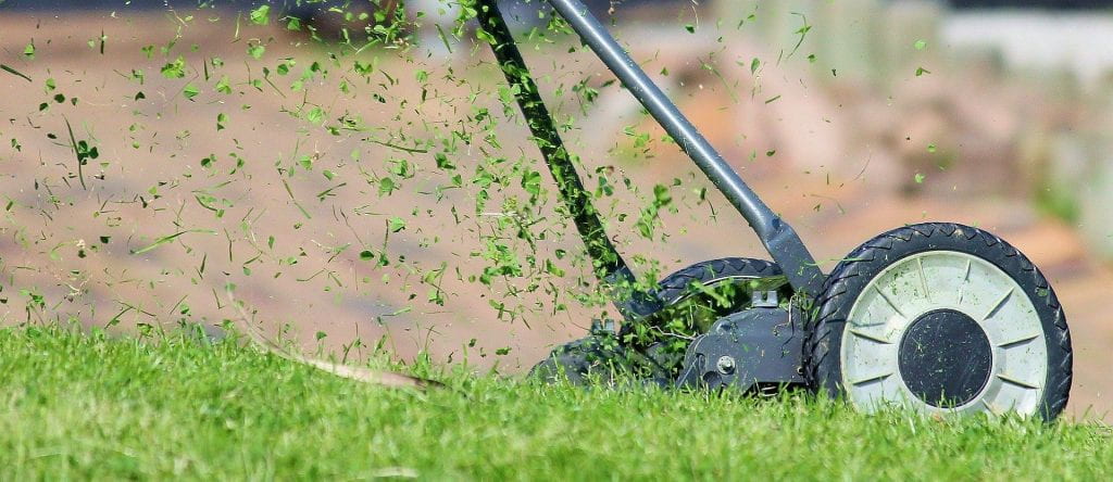A hnad push lawn mower throwing grass clippings into the air