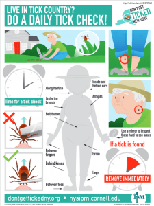 Infographic - How to do a daily tick check and how to remove a tick